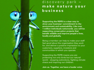 RSPB Radio & National Print Ads